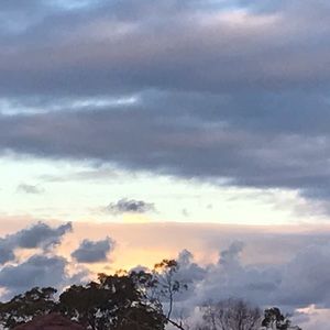 Meet your Posher, Ellise